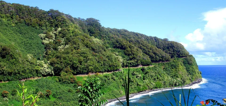 Hana highway curvy road